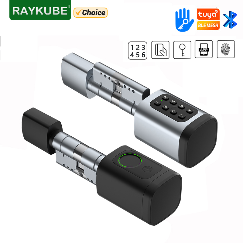 RAYKUBE V1 Tuya BLE TT Lock Sl - Home Automation System Diy recensie en prijs